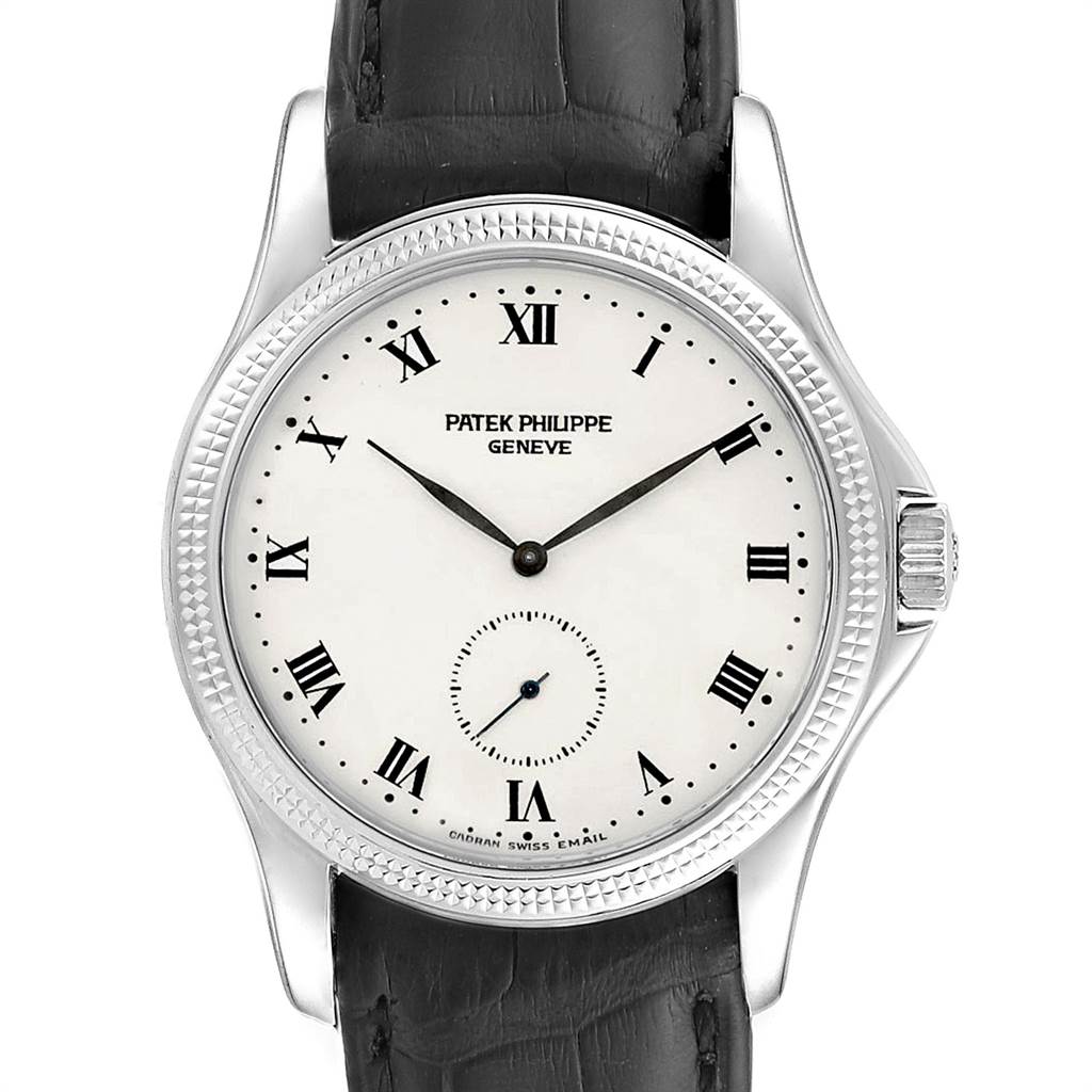 The image shows a frontal view of a Patek Philippe Calatrava 5115G Men
s White Gold White Dial 5115G Men
s White Gold White Dial watch with a white dial, Roman numerals, and a black leather strap.