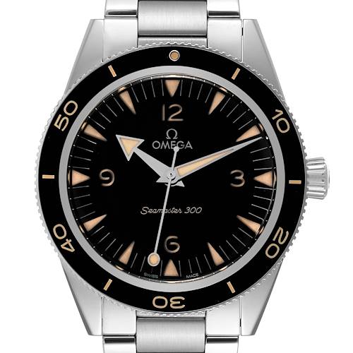 Photo of Omega Seamaster 300 Co-Axial Steel Mens Watch 234.30.41.21.01.001 Box Card