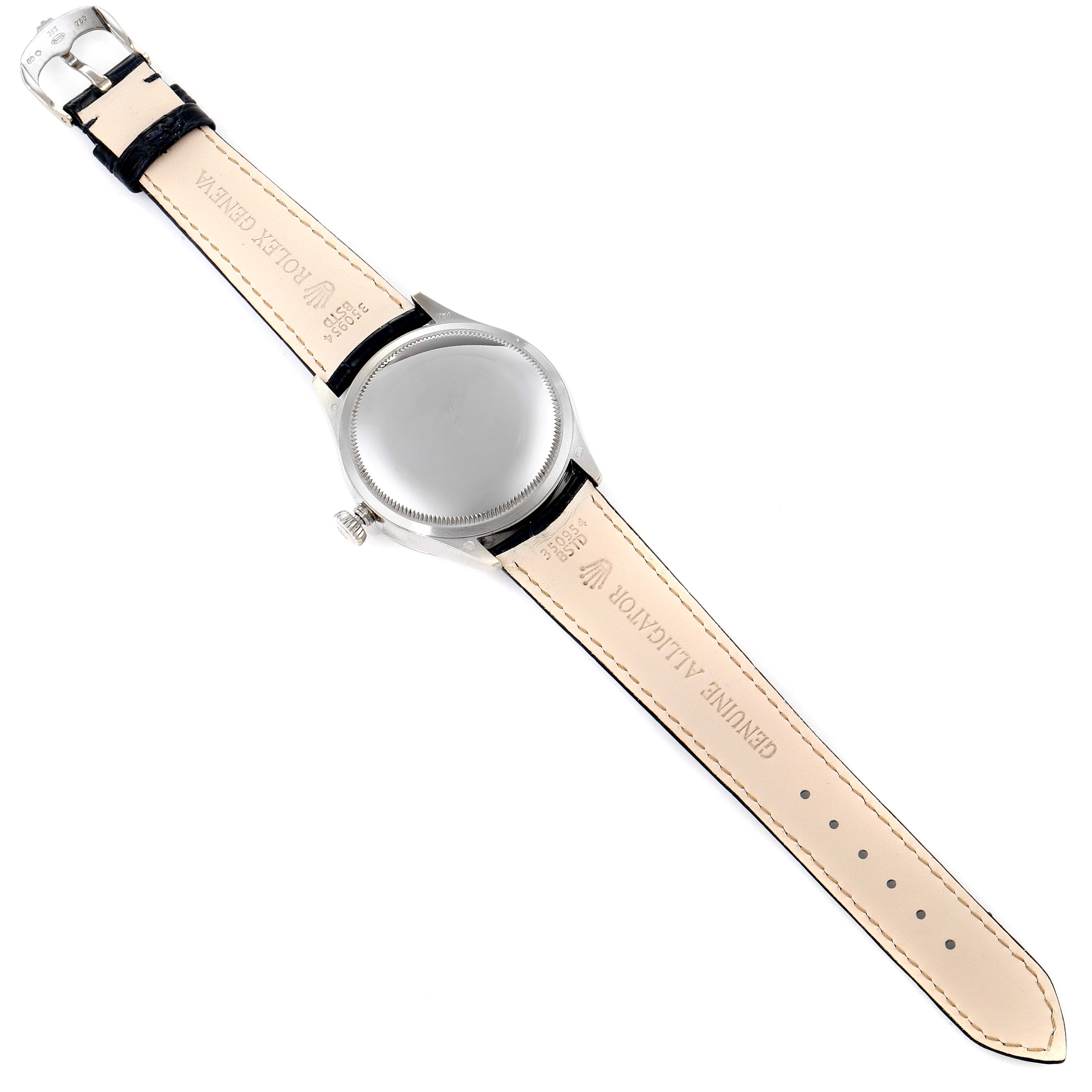 The image displays the back of a Rolex Cellini 50519 Men's White Gold Blue Dial 50519 Men's White Gold Blue Dial watch, including the strap, buckle, and caseback, lying flat.