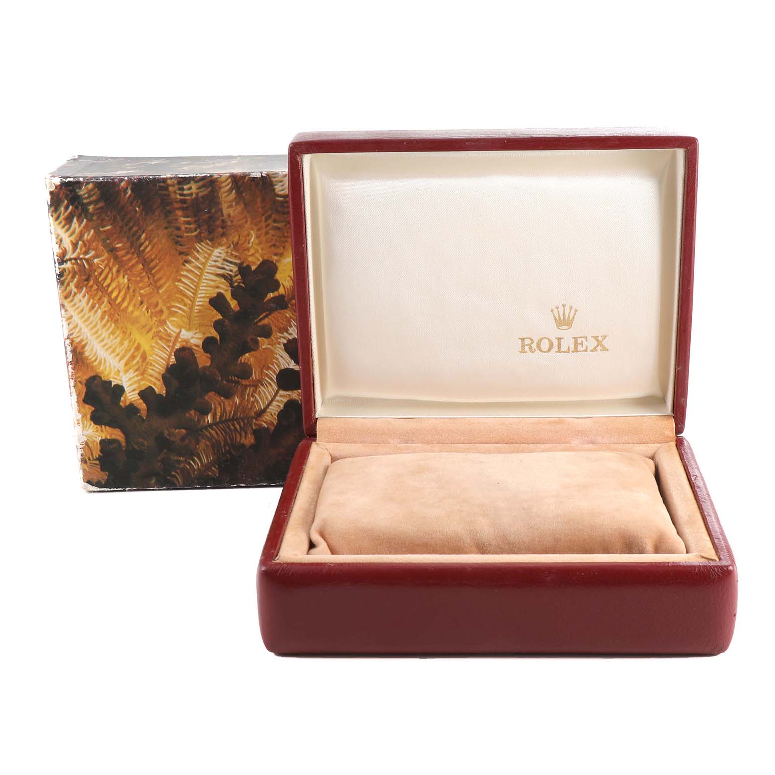 The image shows an open Rolex Datejust 69173 Women's Steel and Gold (two tone) Champagne Dial 69173 Women's Steel and Gold (two tone) Champagne Dial watch box, displaying its interior and the outer packaging.