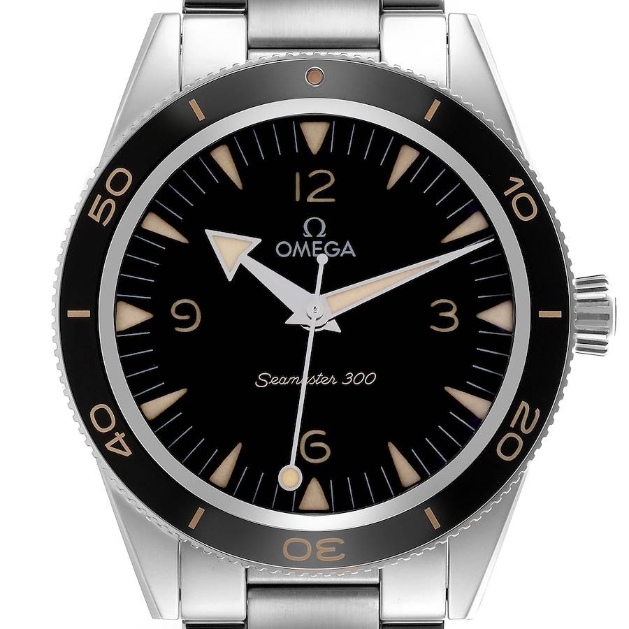 The Omega Seamaster watch is shown from a frontal angle, displaying the bezel, dial, and hands.