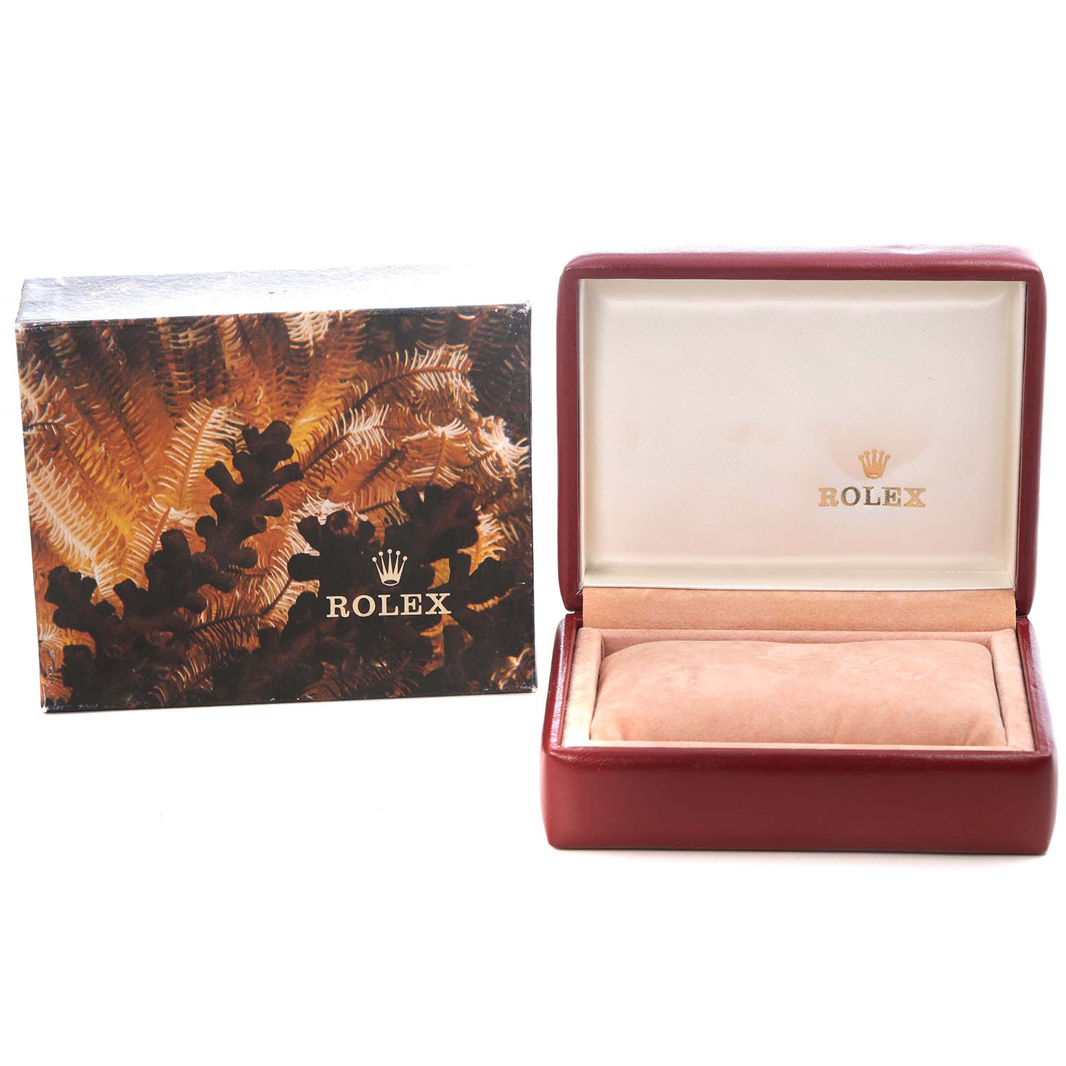 The image shows a Rolex President 69178 Women's Yellow Gold Champagne Dial model box and its opened interior, displaying the cushion where the watch rests.