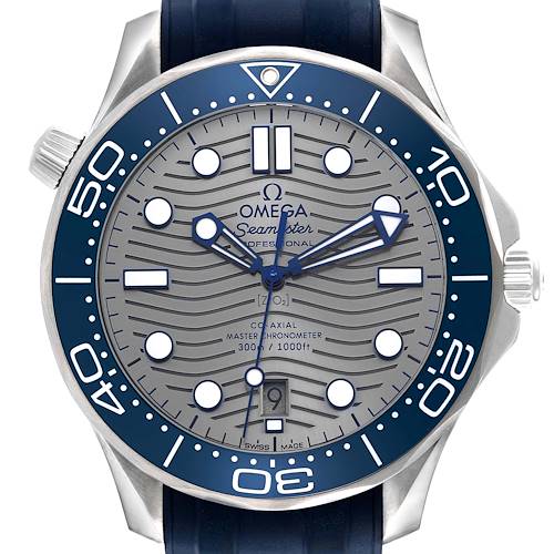 The Omega Seamaster 210.32.42.20.06.001 Men's Stainless Steel Silver Dial watch is shown from the front, featuring the dial, bezel, and crown.