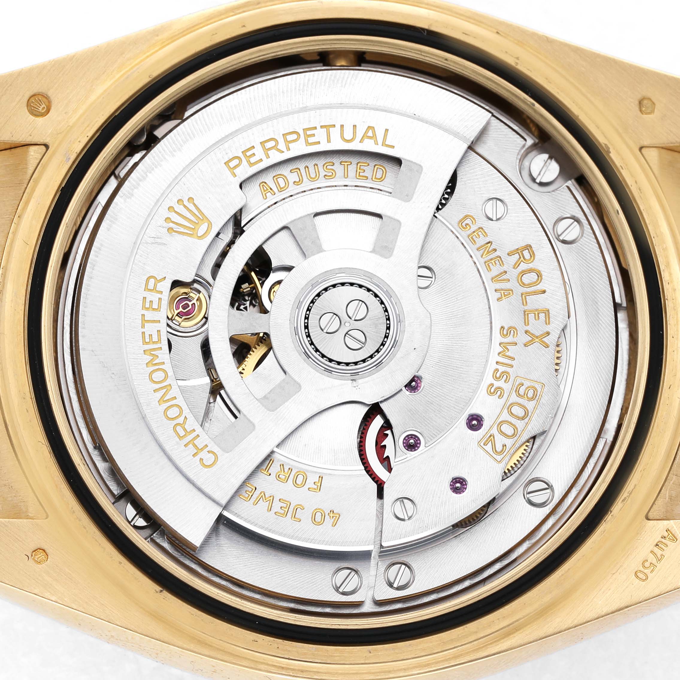The image shows the back view of a Rolex Sky-Dweller 336238 Men's Yellow Gold Champagne Dial watch, displaying the intricate mechanics and rotor.