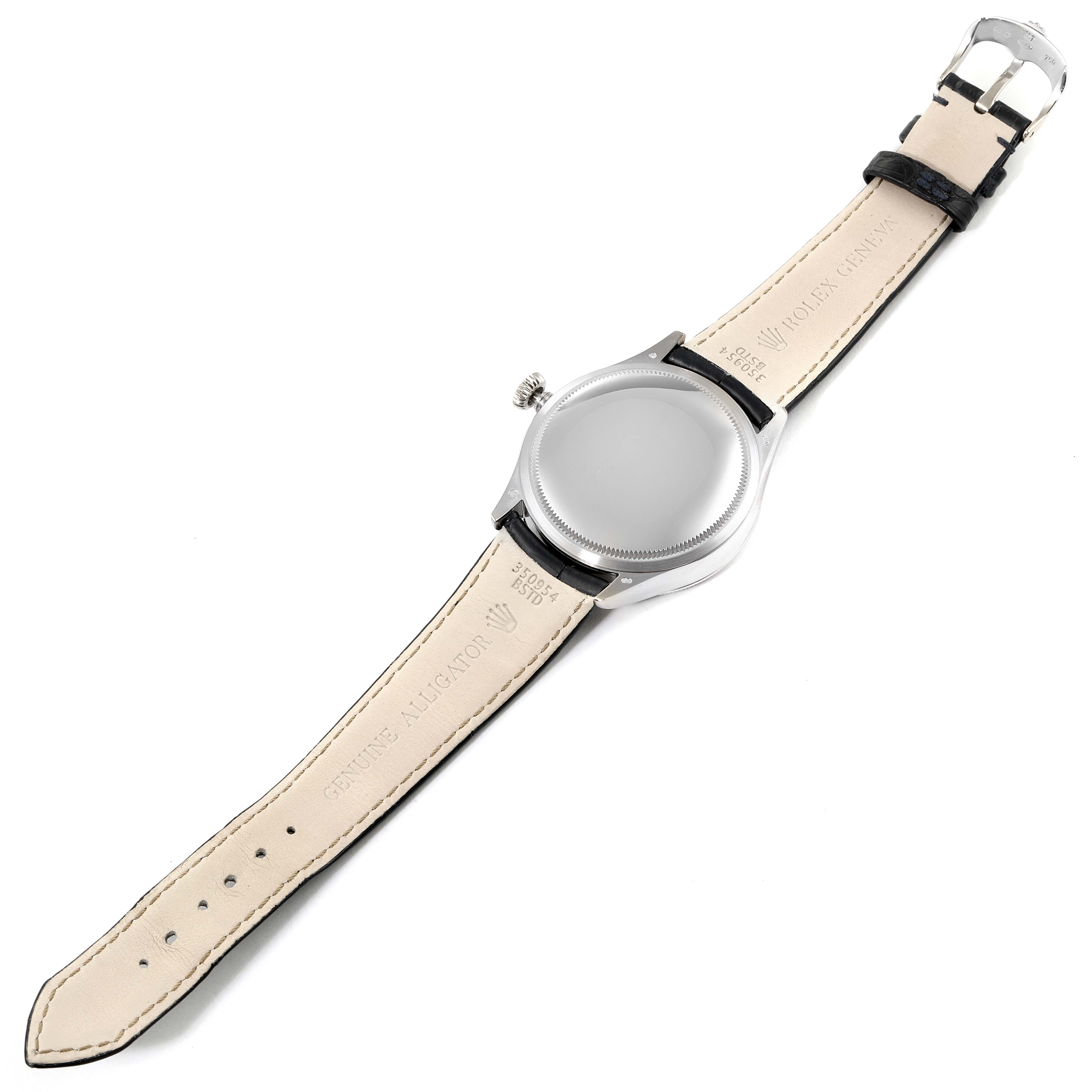 This image shows the back and strap of a Rolex Cellini 50519 Men's White Gold Blue Dial 50519 Men's White Gold Blue Dial watch from a top-down angle.