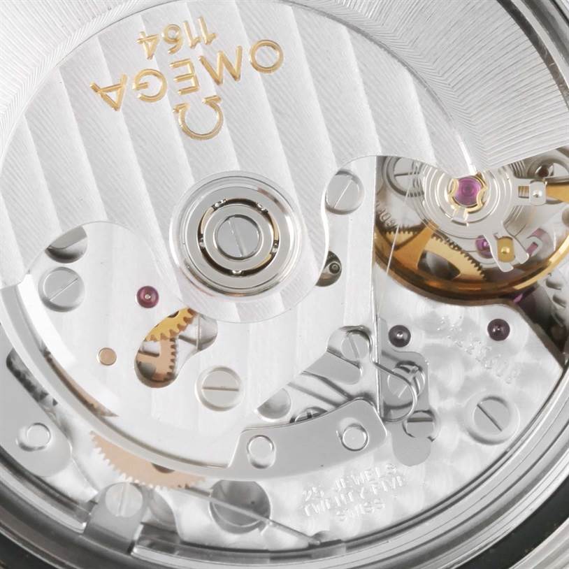 This image shows a close-up of the Omega Seamaster 2599.80.00 Men
s Stainless Steel Blue Dial 2599.80.00 Men
s Stainless Steel Blue Dial watch
s intricate mechanical movement from the back view.