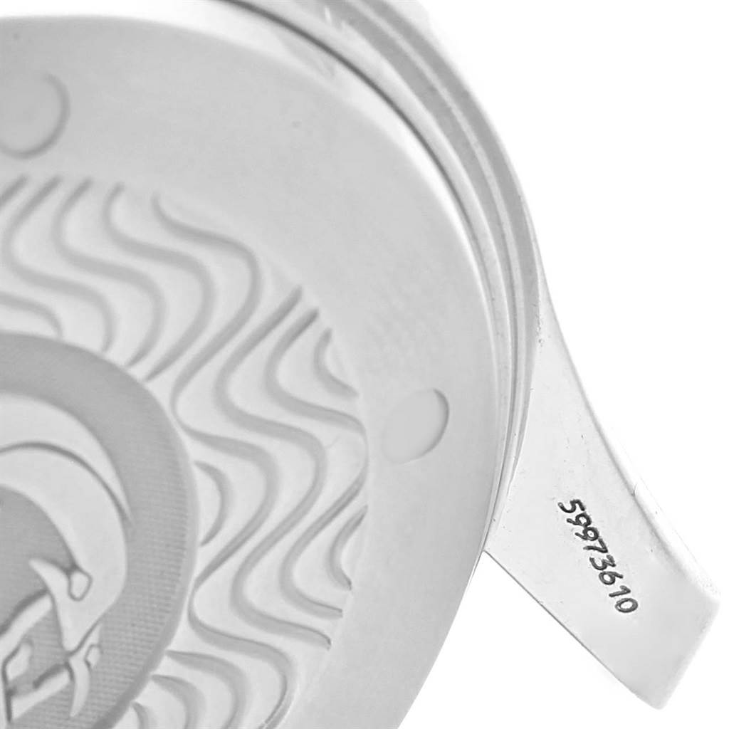 The image shows a close-up of the backside and serial number tab of an Omega Seamaster 2595.50.00 Men
s Stainless Steel Black Dial 2595.50.00 Men
s Stainless Steel Black Dial watch.