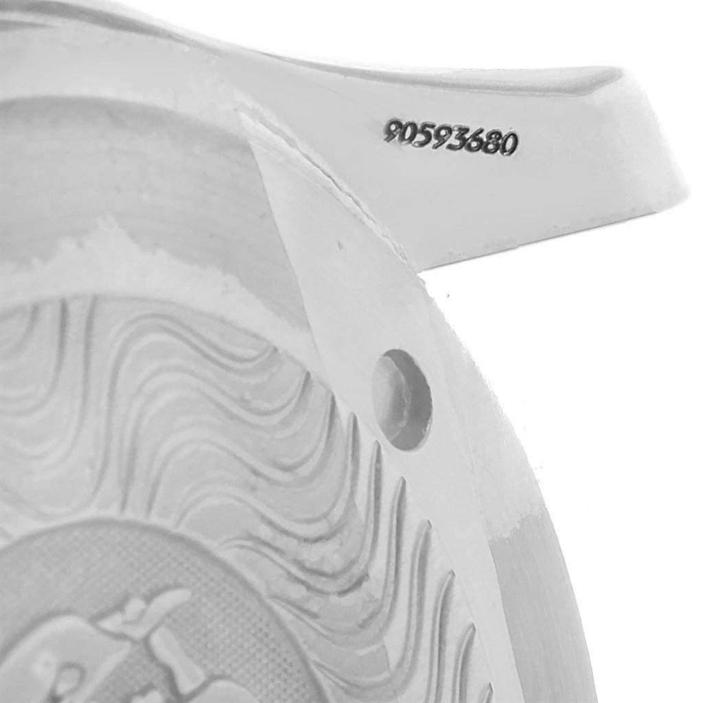 This image shows a close-up of the back case and lug of an Omega Seamaster 2595.50.00 Men
s Stainless Steel Black Dial 2595.50.00 Men
s Stainless Steel Black Dial watch, including engraved details.