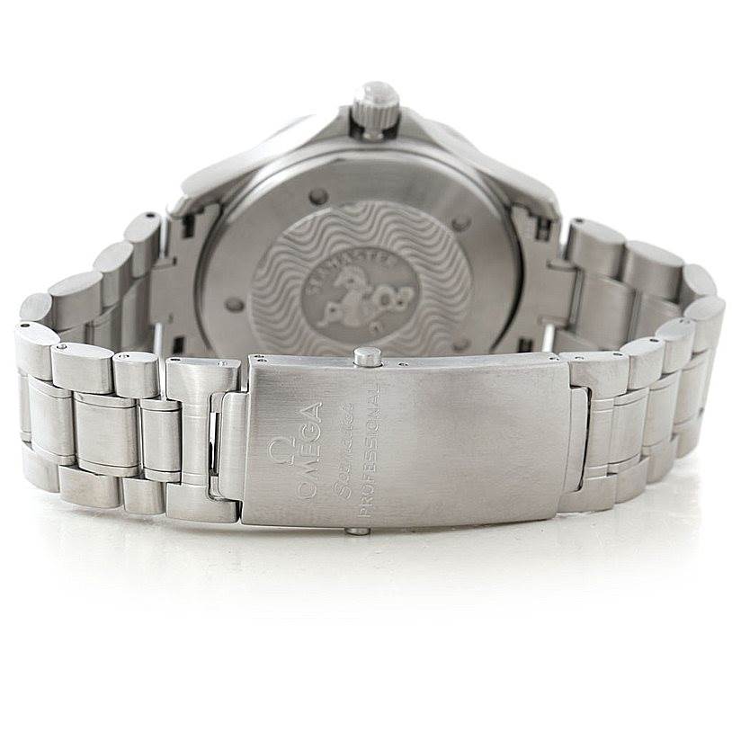 Omega Seamaster GMT Great White Mens Watch 2538.20.00 | SwissWatchExpo
