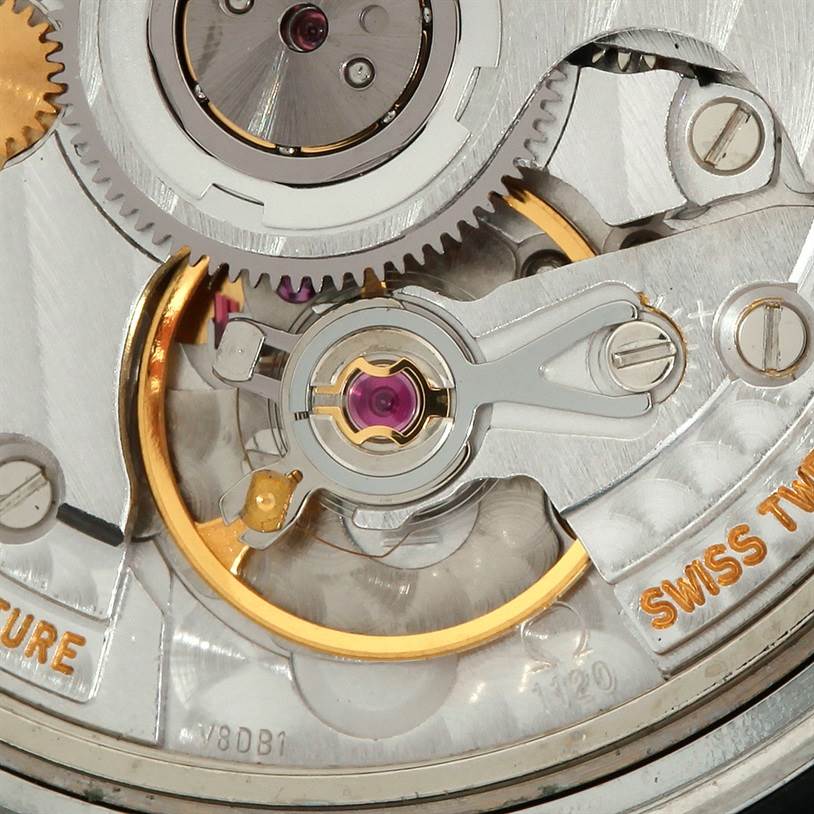 This close-up image shows the intricate movement and gears of an Omega Seamaster Men
s Stainless Steel Blue Dial Men
s Stainless Steel Blue Dial watch.