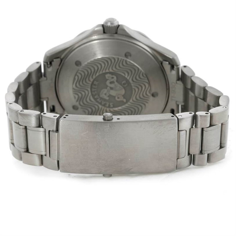 Omega Seamaster Titanium Mens Watch 2231.80.00 | SwissWatchExpo