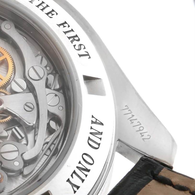 omega 38765031