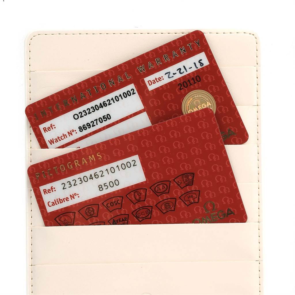 This image shows the international warranty and pictograms cards for the Omega Aqua Terra 231.13.49.10.06.001 Men
s Stainless Steel Grey Dial 231.13.49.10.06.001 Men
s Stainless Steel Grey Dial model.