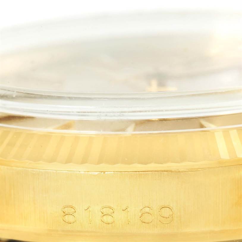 This image shows a close-up side view of the case and bezel of the Rolex Vintage Collection 1503 Men's Yellow Gold Champagne Dial 1503 Men's Yellow Gold Champagne Dial model watch, highlighting the serial number 818169.