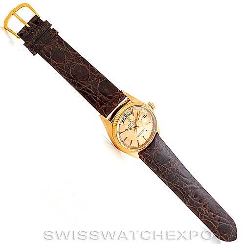 The Rolex President 1803 Men
s Yellow Gold Champagne Dial 1803 Men
s Yellow Gold Champagne Dial watch is shown from a top-down angle, displaying its gold case, dial, and brown leather strap.