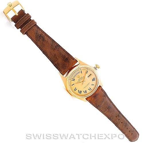 The Rolex President 1803 Men
s Yellow Gold Champagne Dial 1803 Men
s Yellow Gold Champagne Dial watch is shown from a top-down angle, displaying its face, crown, and full leather strap.