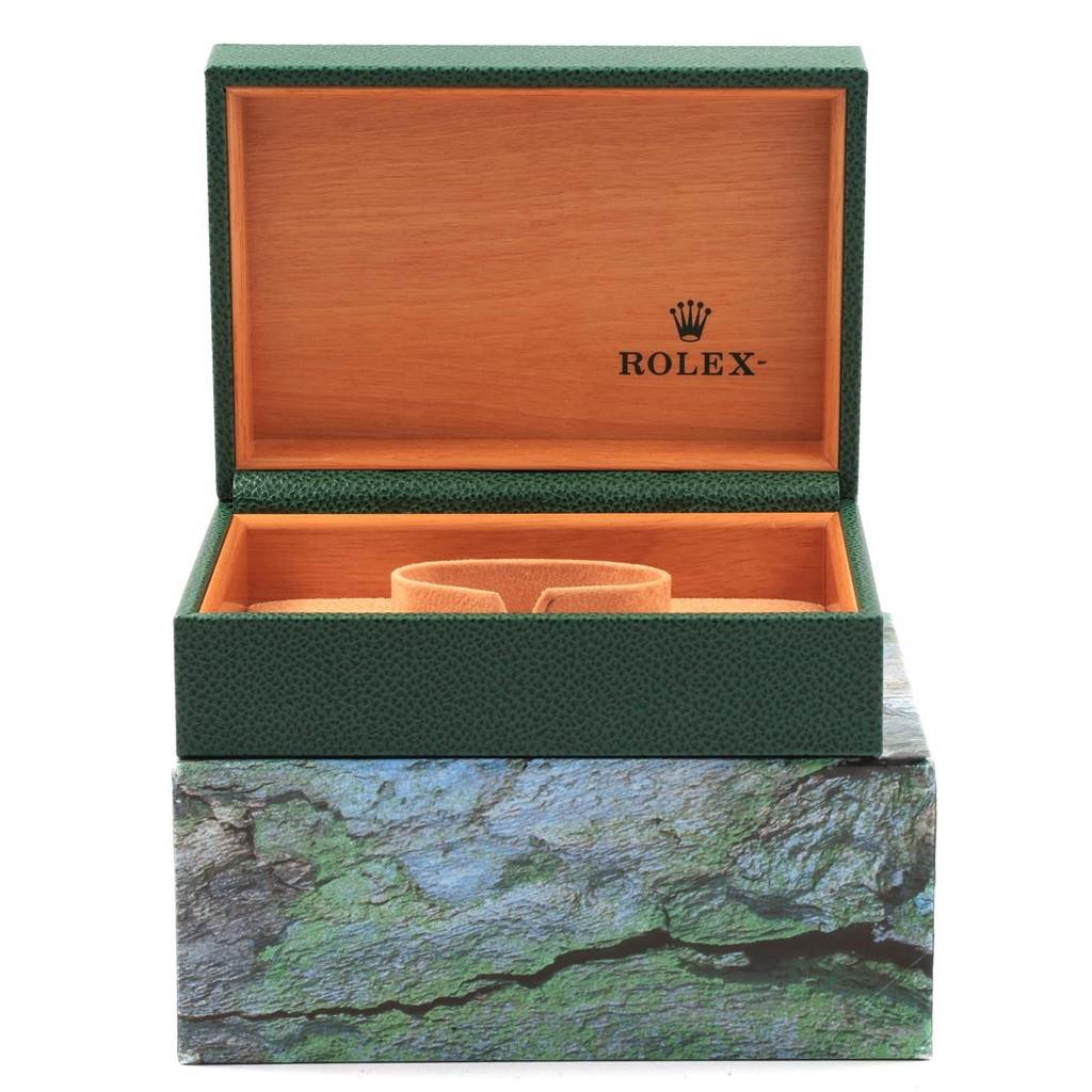 This image shows a Rolex Datejust 16233 Men's Steel and Gold (two tone) Champagne Dial 16233 Men's Steel and Gold (two tone) Champagne Dial watch box, open, with its interior and cushion clearly visible.