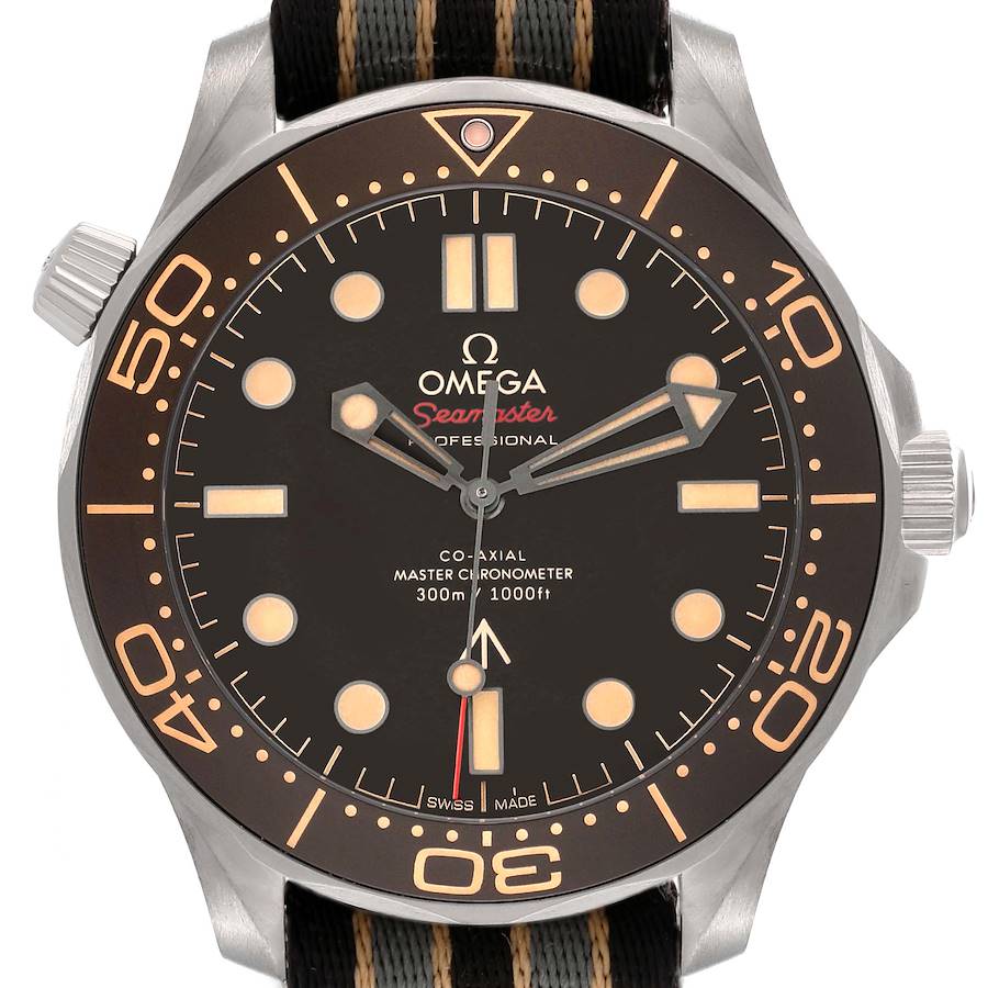 The Omega Seamaster watch is shown from the front, displaying its dial, bezel, and strap.