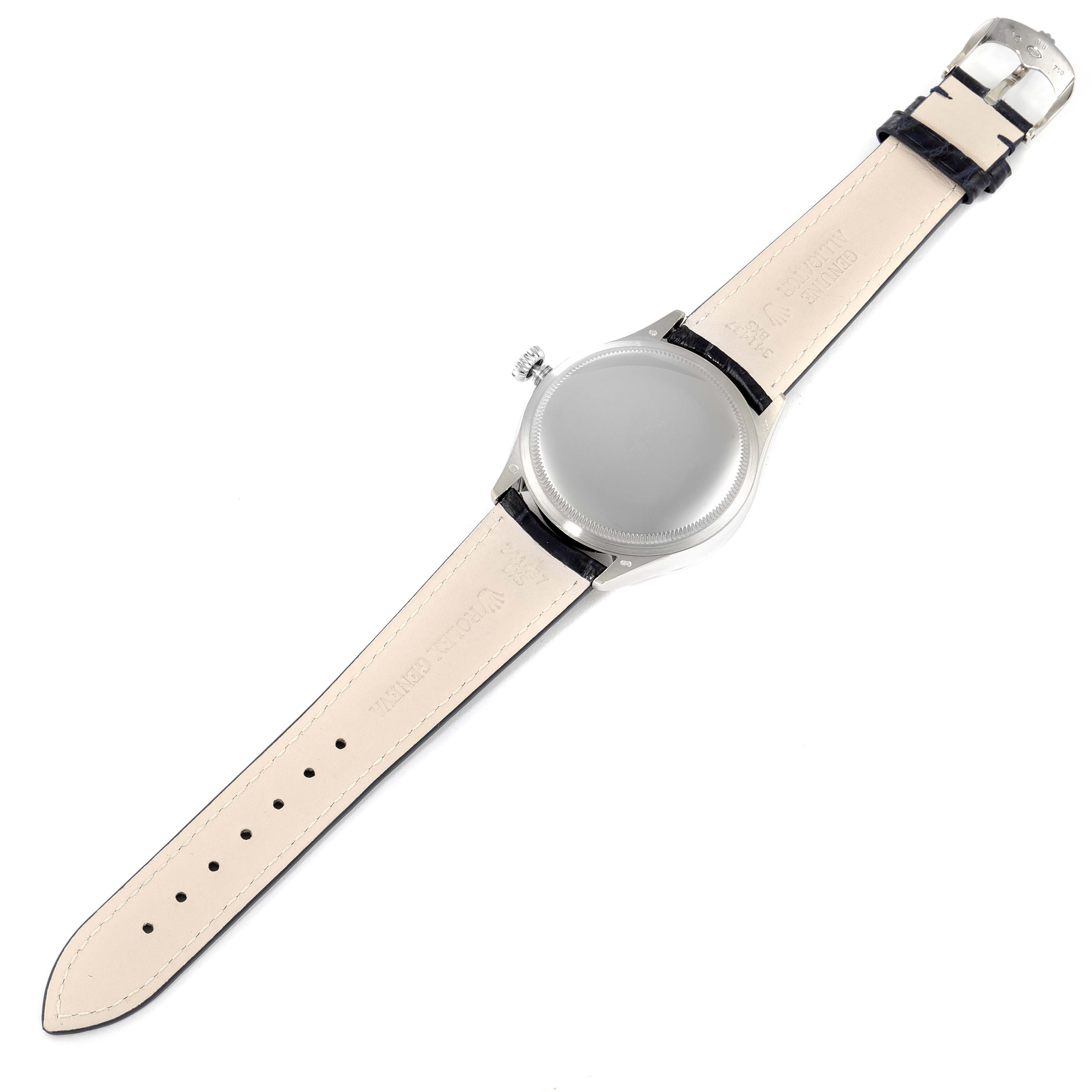 The image shows a Rolex Cellini 50519 Men's White Gold Blue Dial 50519 Men's White Gold Blue Dial watch from the back, highlighting the strap, buckle, and case back.