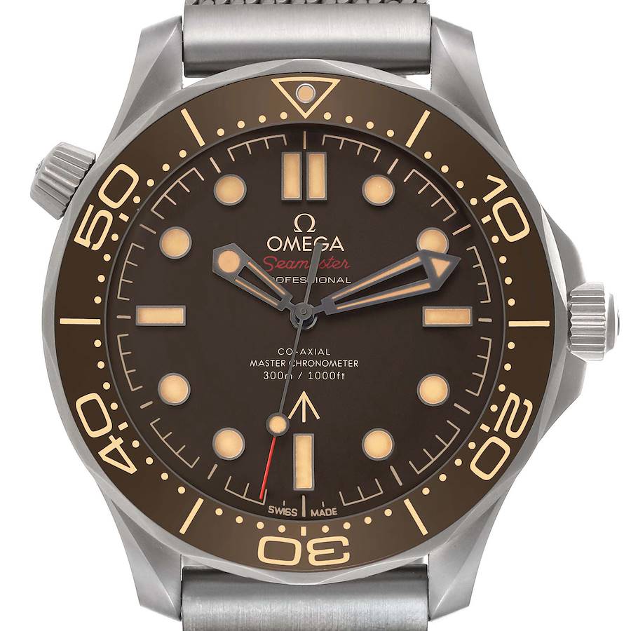 The Omega Seamaster watch is shown from a front view, highlighting the bezel, dial, hands, and crown.