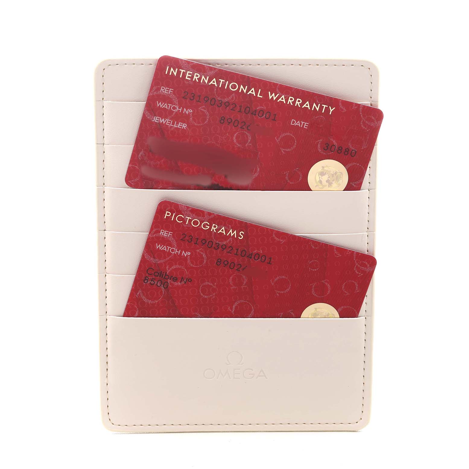 The image shows warranty and pictogram cards for the Omega Aqua Terra 231.90.39.21.04.001 Men's Titanium Yellow Dial model in a cardholder.