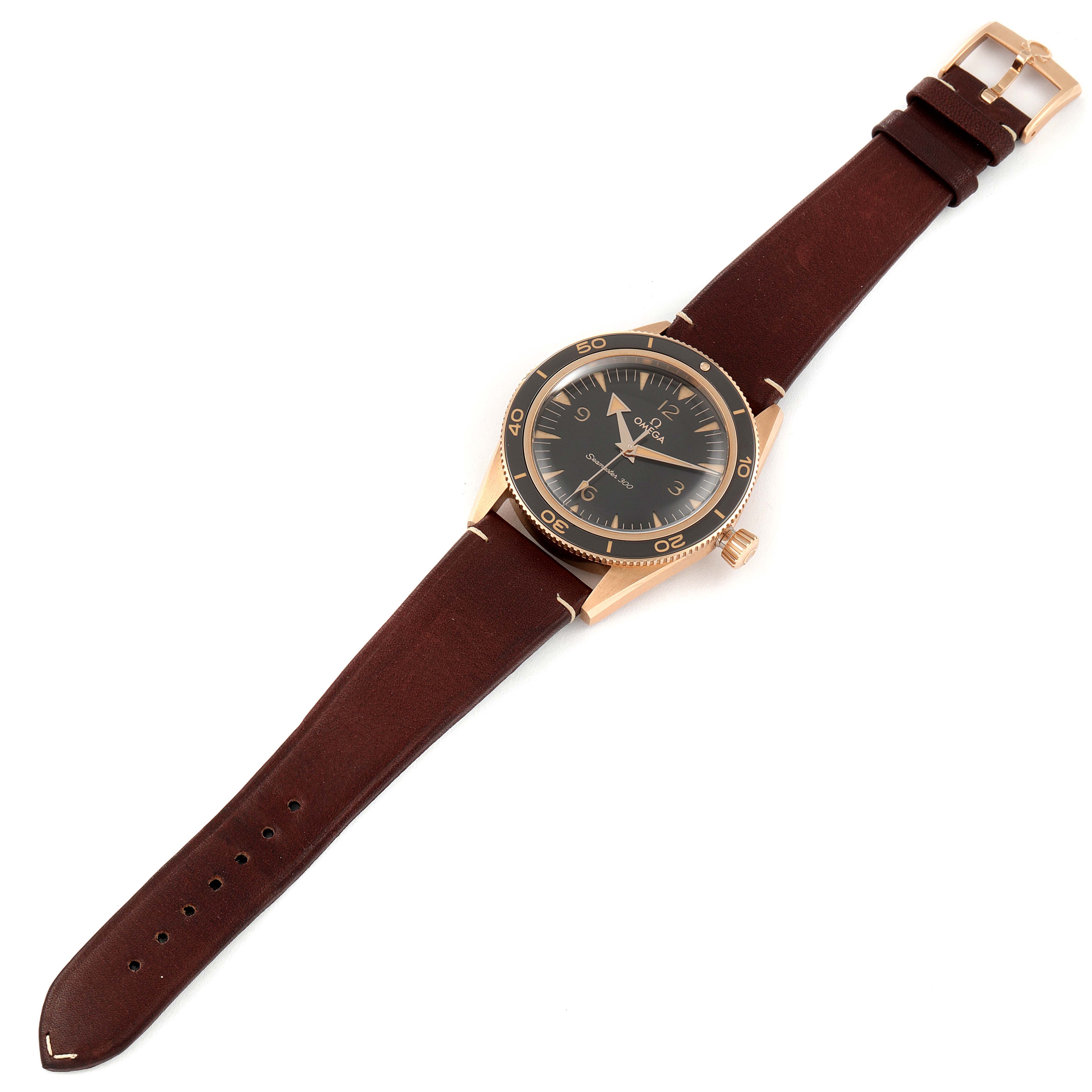 The image shows an Omega Seamaster 234.92.41.21.10.001 Men's Bronze Black Dial 234.92.41.21.10.001 Men's Bronze Black Dial watch, photographed from a top-down angle, highlighting the face, bezel, case, and strap.