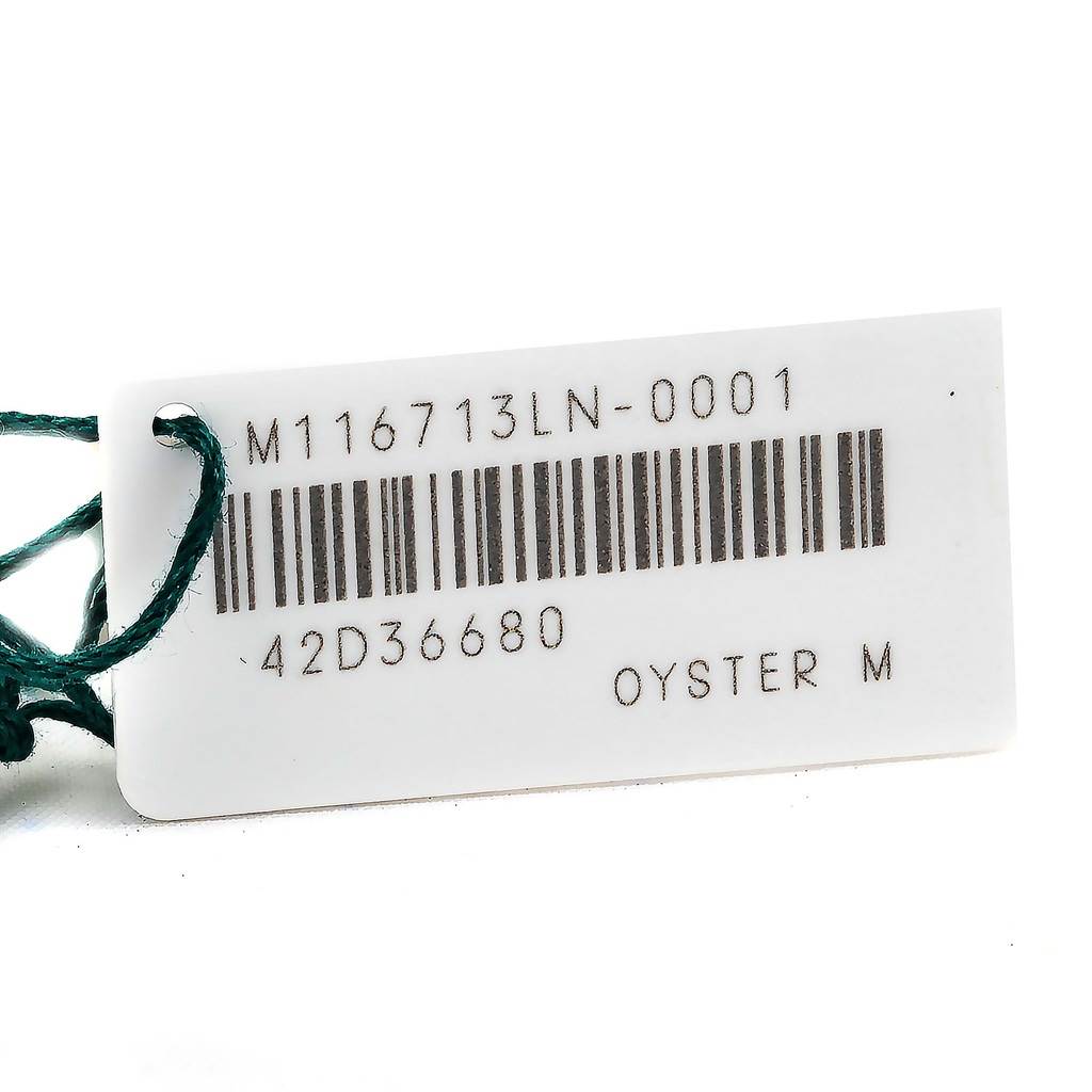 The image shows a Rolex GMT-Master 116713 Men's Stainless Steel Black Dial 116713 Men's Stainless Steel Black Dial watch tag with model and serial numbers.