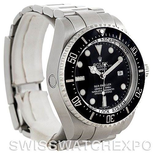 The Rolex Sea-Dweller 116660 Men's Stainless Steel Black Dial 116660 Men's Stainless Steel Black Dial watch is shown at a three-quarter angle, highlighting its dial, bezel, case, and part of the bracelet.