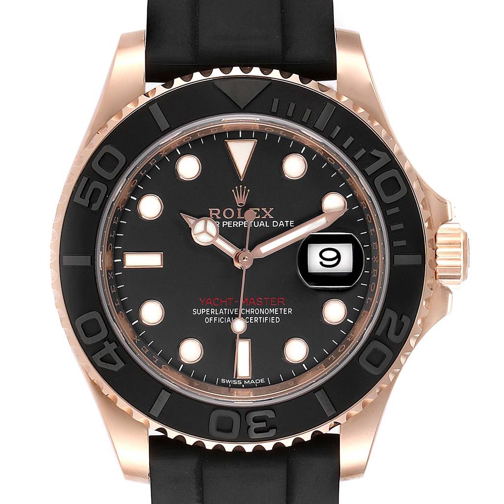 yachtmaster everrose