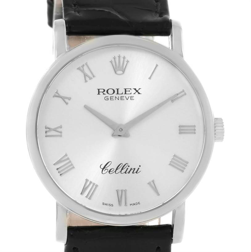 The Rolex Cellini 5115 White Gold Silver Dial 5115 White Gold Silver Dial watch is shown from the front, displaying the dial, hands, Roman numerals, and part of the leather strap.