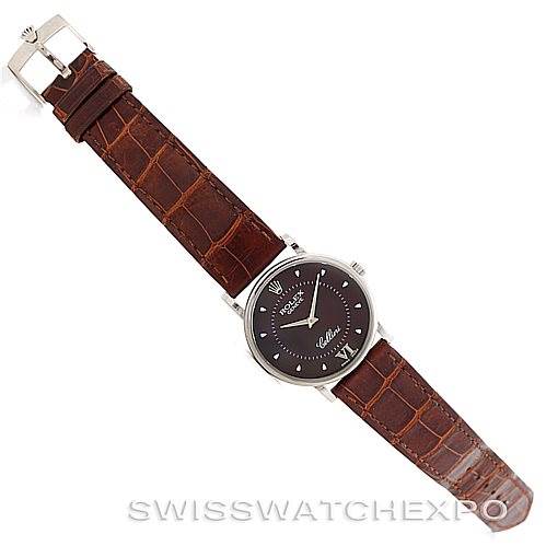 The image shows a top-down view of a Rolex Cellini 5115 Men's White Gold Brown Dial 5115 Men's White Gold Brown Dial watch with a brown leather strap and silver-colored case.