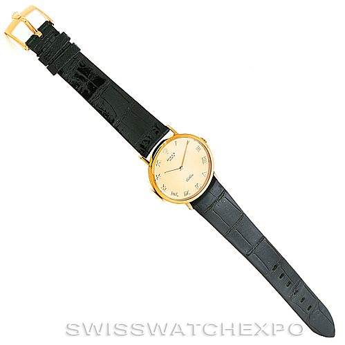 The Cellini model by Rolex is shown at a top-down angle, displaying the full watch with its black strap and gold-tone bezel and face.