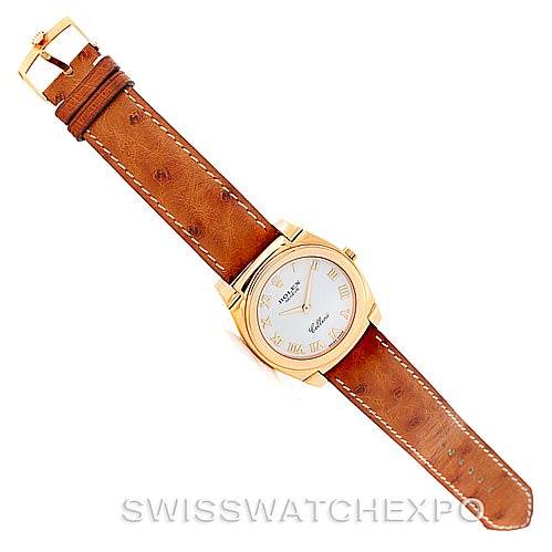 The image shows a top-down view of a Rolex Cellini 5330 Men's Yellow Gold White Dial 5330 Men's Yellow Gold White Dial watch, featuring its brown leather strap, gold case, and round white dial.