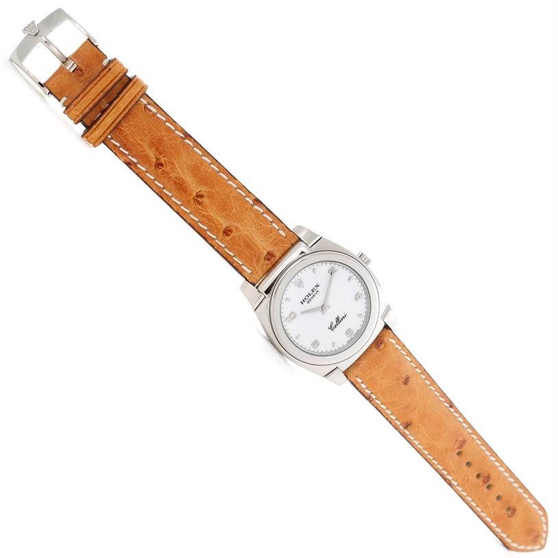 The image shows a top view of a Rolex Cellini 5320 Men's White Gold White Dial 5320 Men's White Gold White Dial watch with a brown leather strap and silver case.