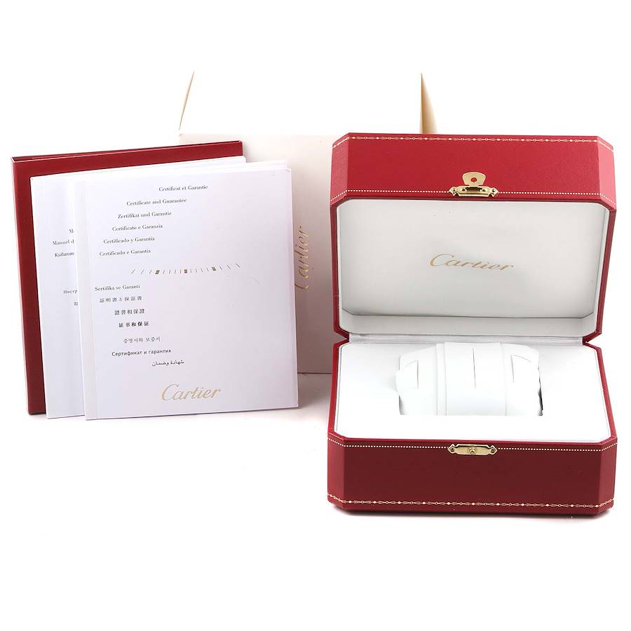 Steel Diamond Automatic Ladies Watch 