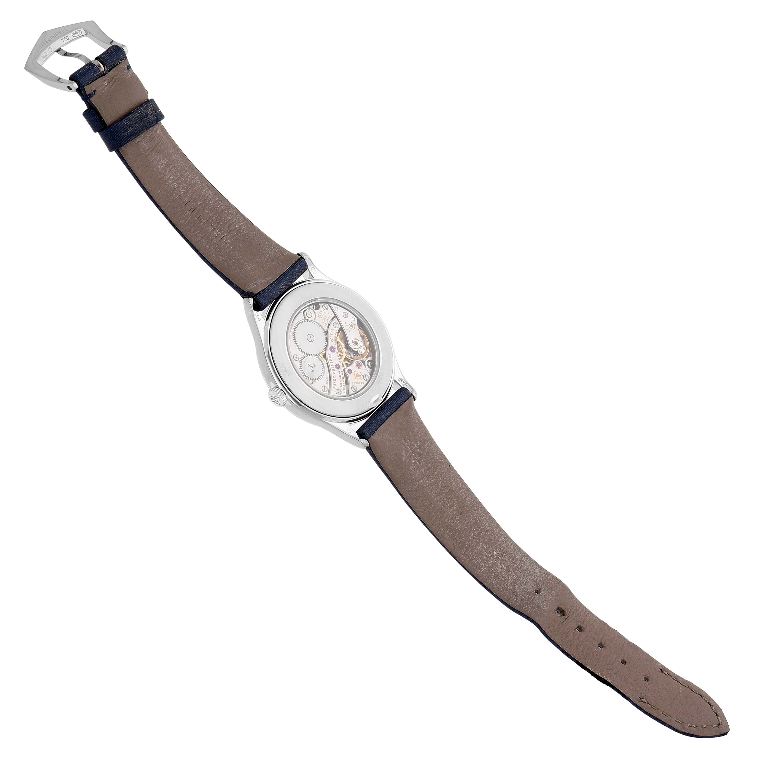 The Patek Philippe Calatrava 4897G-001 Women's White Gold Blue Dial watch is shown from the back, displaying its transparent case back and leather strap.