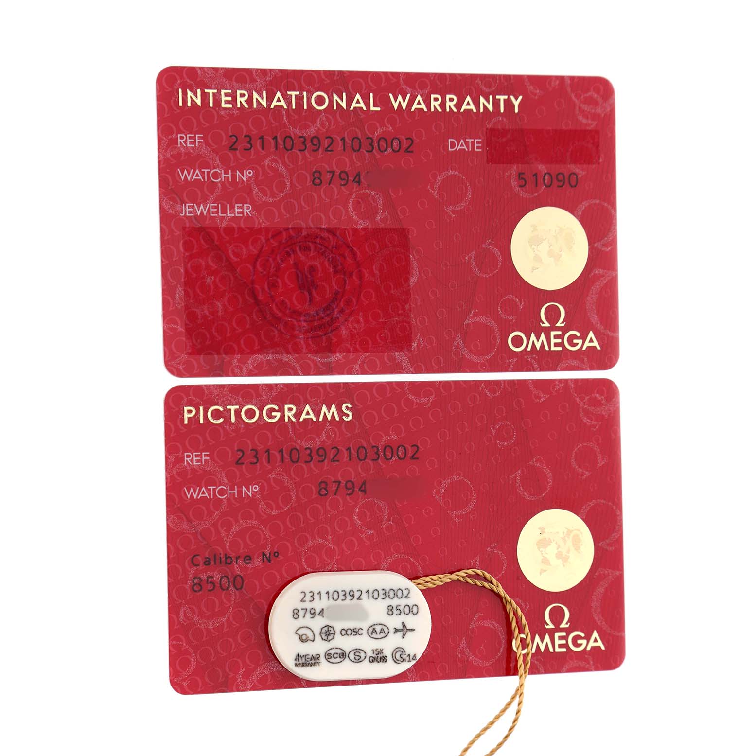 The image shows the International Warranty and Pictograms cards for the Omega Aqua Terra 231.10.39.21.03.002 Men's Stainless Steel Blue Dial watch.