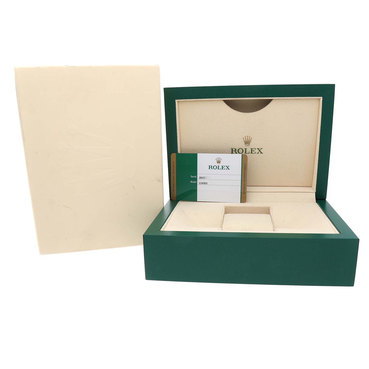 The image shows the open box and card for a Rolex Daytona 116503 Men's Steel and Gold (two tone) Black Dial watch, emphasizing the packaging angle.