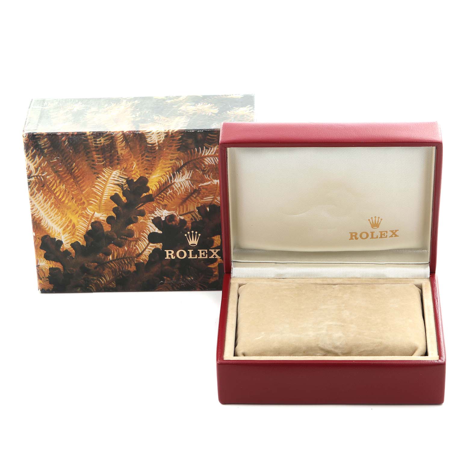 The image shows a Rolex Datejust 69173 Women
s Steel and Gold (two tone) Champagne Dial 69173 Women
s Steel and Gold (two tone) Champagne Dial watch box and outer packaging from the front angle.