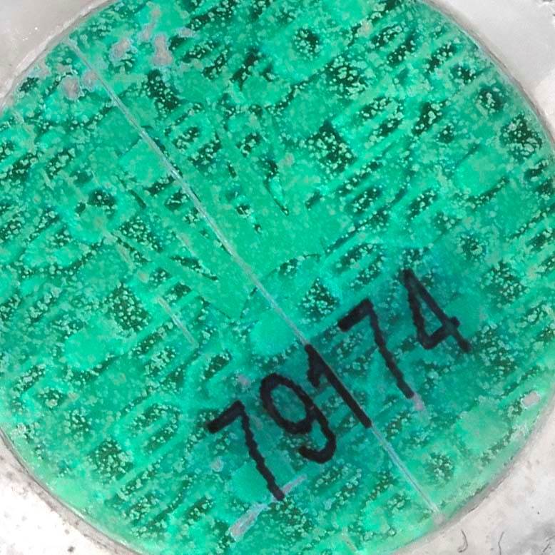 The image shows the holographic green sticker on the Rolex Datejust 79174 Women's Stainless Steel Pink Dial 79174 Women's Stainless Steel Pink Dial case back with the model number 79174 printed on it.