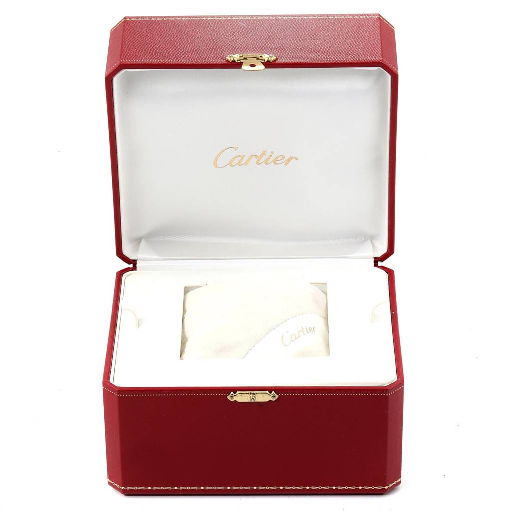 The image shows the open case of a Roadster model by Cartier, with a soft cushion inside.