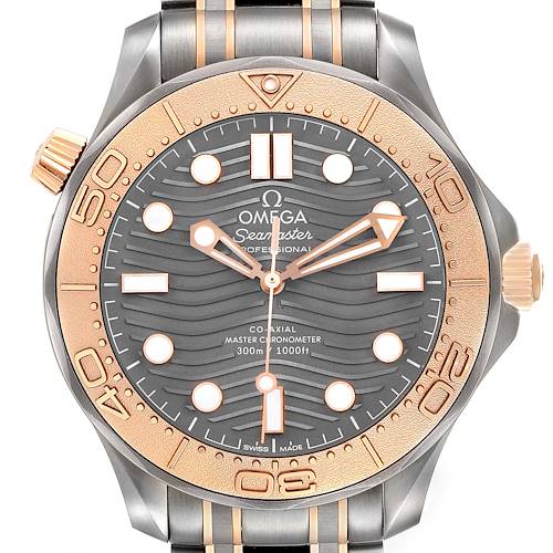 The image shows the front view of the Omega Seamaster 210.60.42.20.99.001 Men's Titanium Grey Dial watch, highlighting its dial, bezel, and crown details.