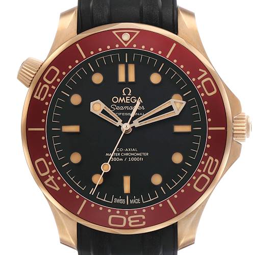 The Omega Seamaster 210.92.42.20.01.003 Men's Rose Gold Black Dial watch is shown from the front, highlighting its dial, bezel, and crown.