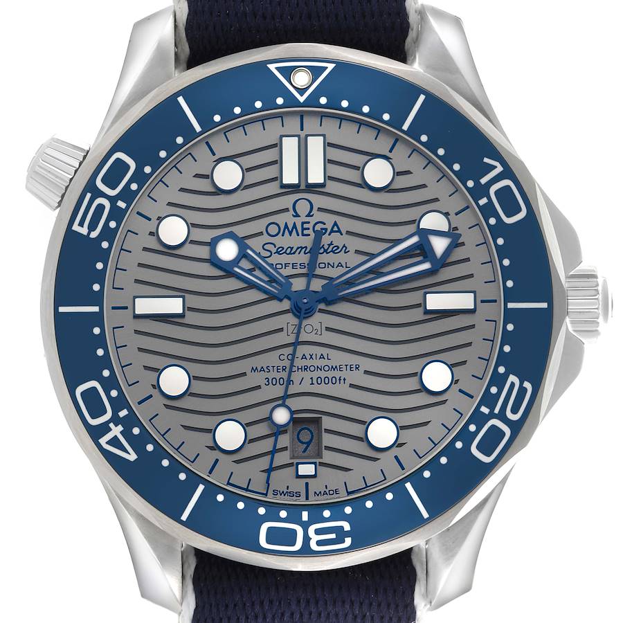 The Omega Seamaster watch is shown from the front, highlighting the dial, bezel, and crown.