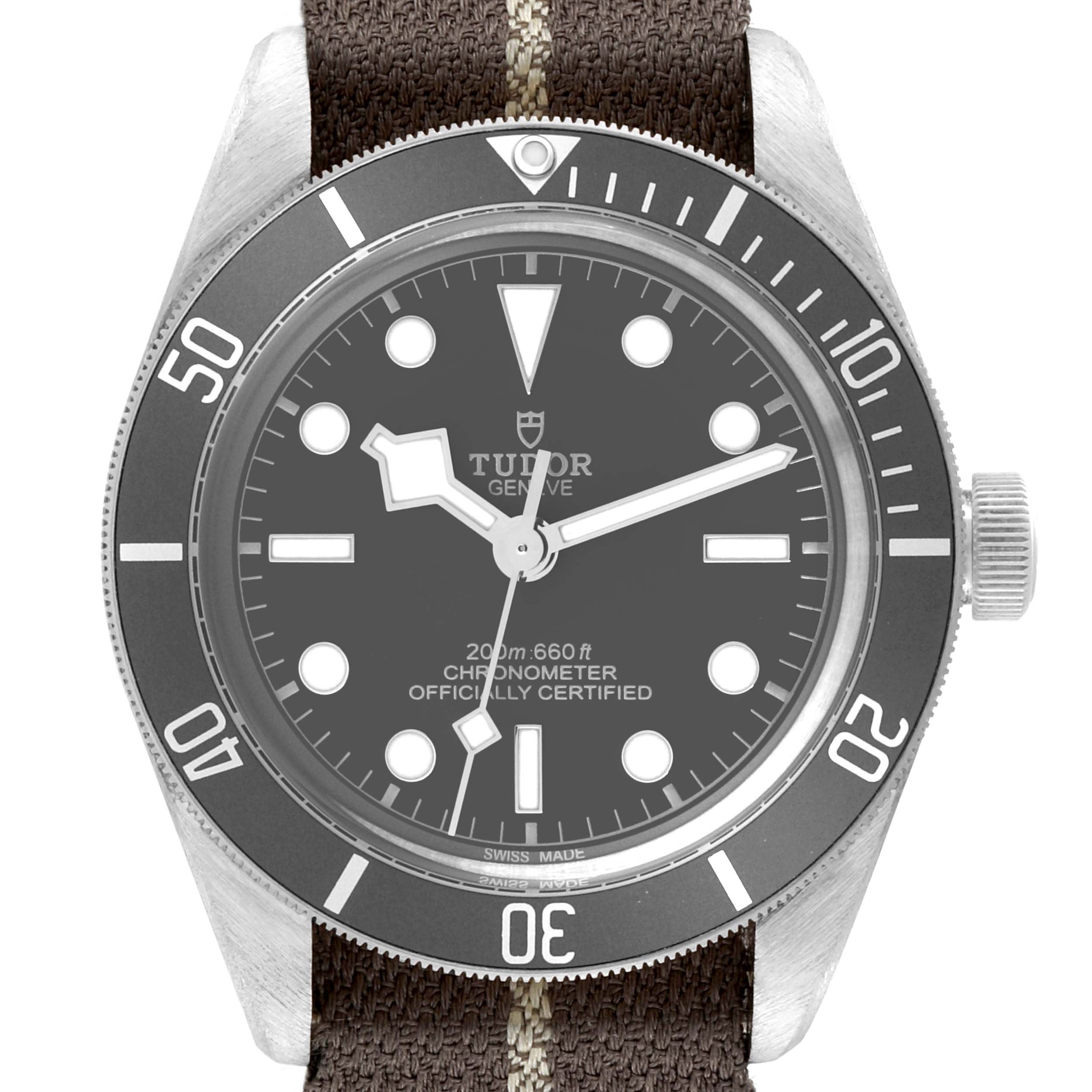 The image shows a Tudor Heritage Black Bay 79010SG Men
s Stainless Steel Grey Dial 79010SG Men
s Stainless Steel Grey Dial watch, viewed from the front, featuring its dial, bezel, and part of its strap. 