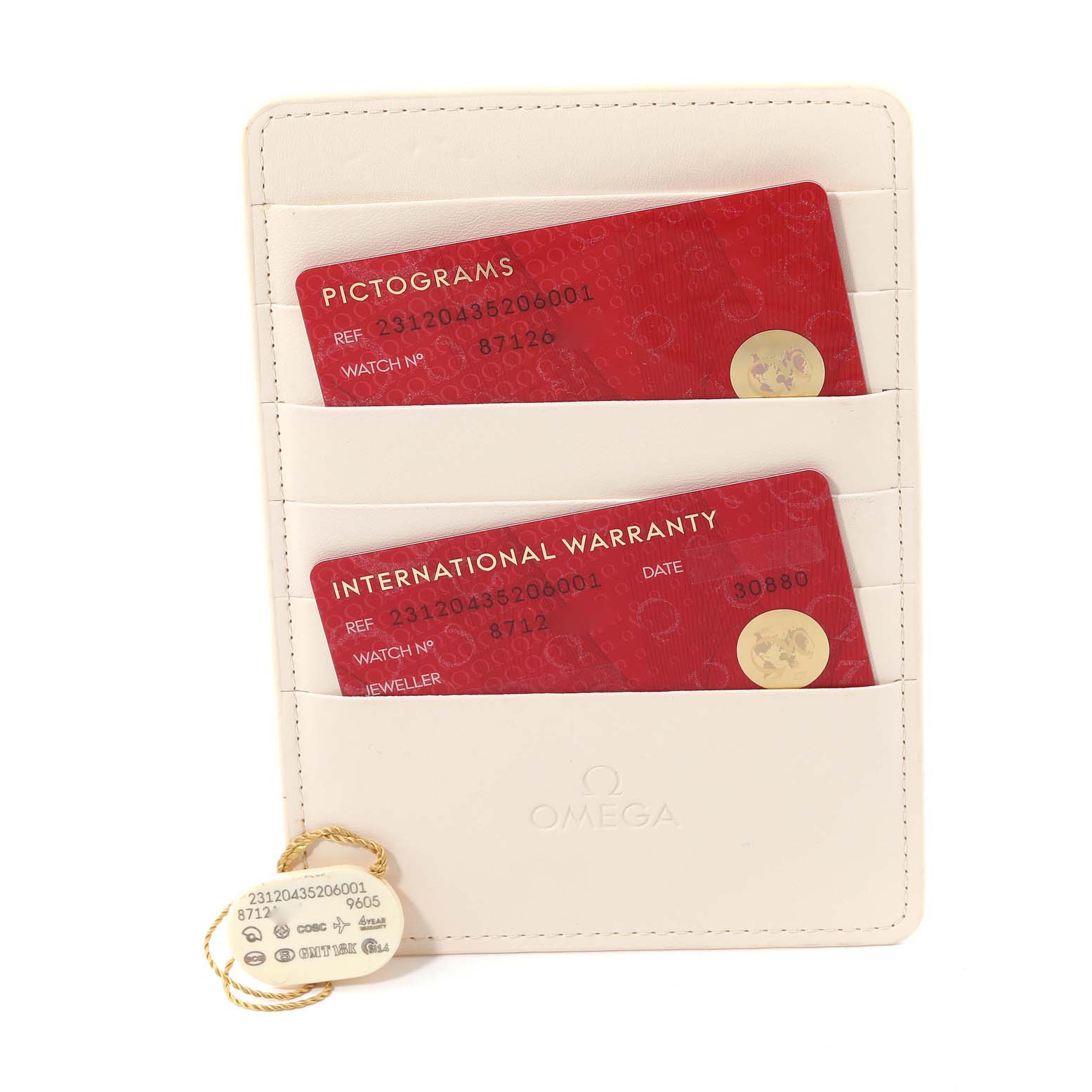 The image displays a white Omega cardholder containing Pictograms and International Warranty cards for the Aqua Terra model by Omega.