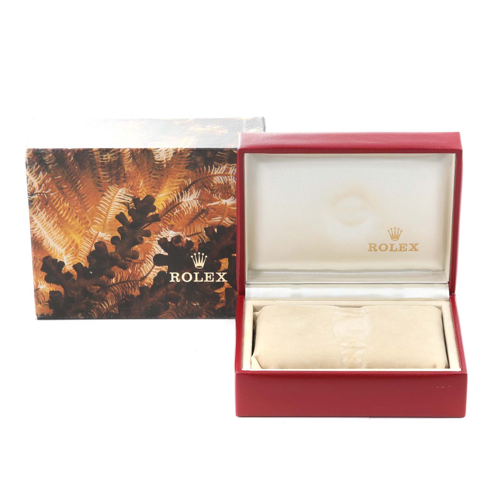 The image shows the packaging box (closed and open) for a Rolex Oyster Perpetual 67193 Women's Steel and Gold (two tone) Champagne Dial 67193 Women's Steel and Gold (two tone) Champagne Dial watch.