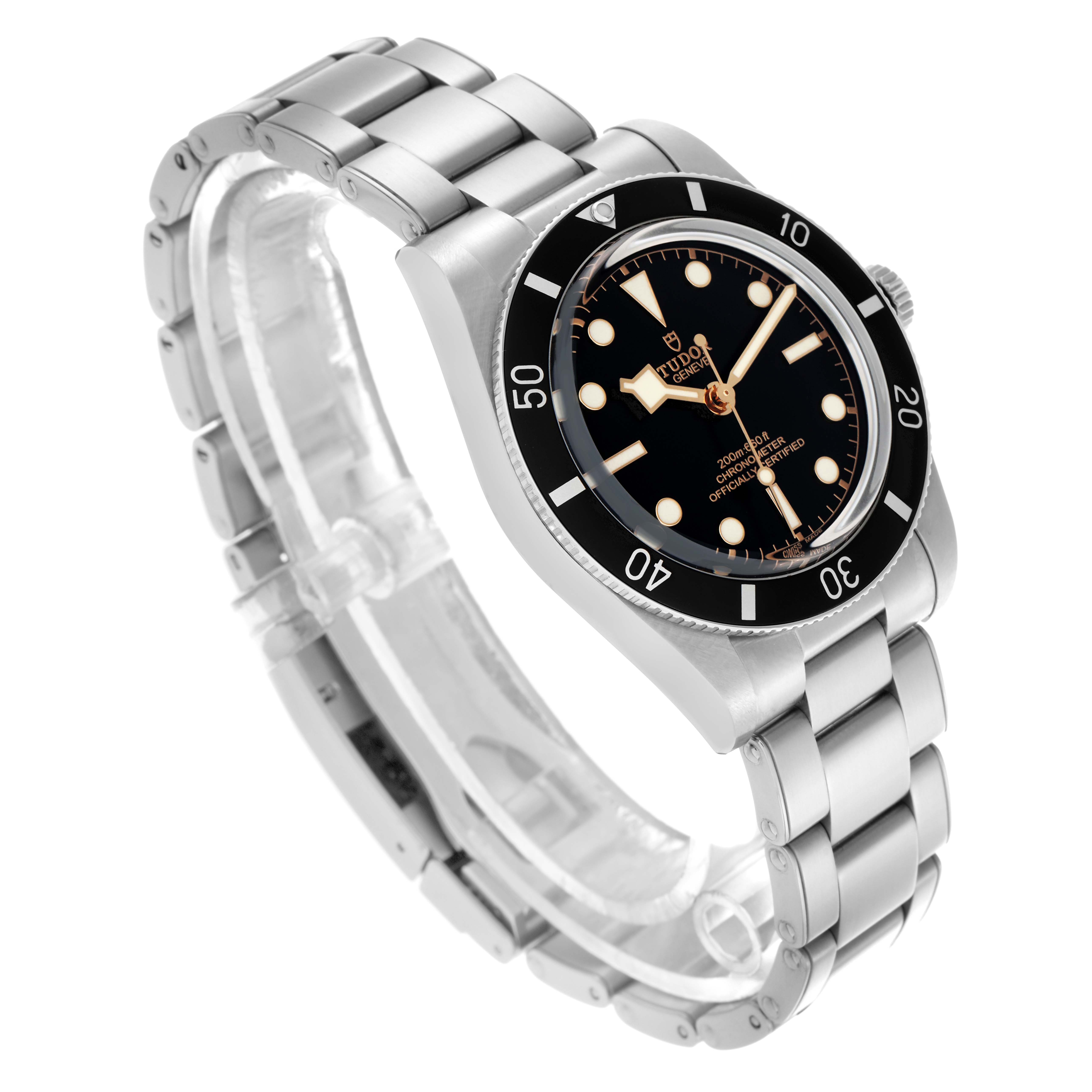 The Tudor Heritage Black Bay 79000N-0001 Men
s Stainless Steel Black Dial 79000N-0001 Men
s Stainless Steel Black Dial watch is shown at an angle displaying the face, bezel, crown, and bracelet.