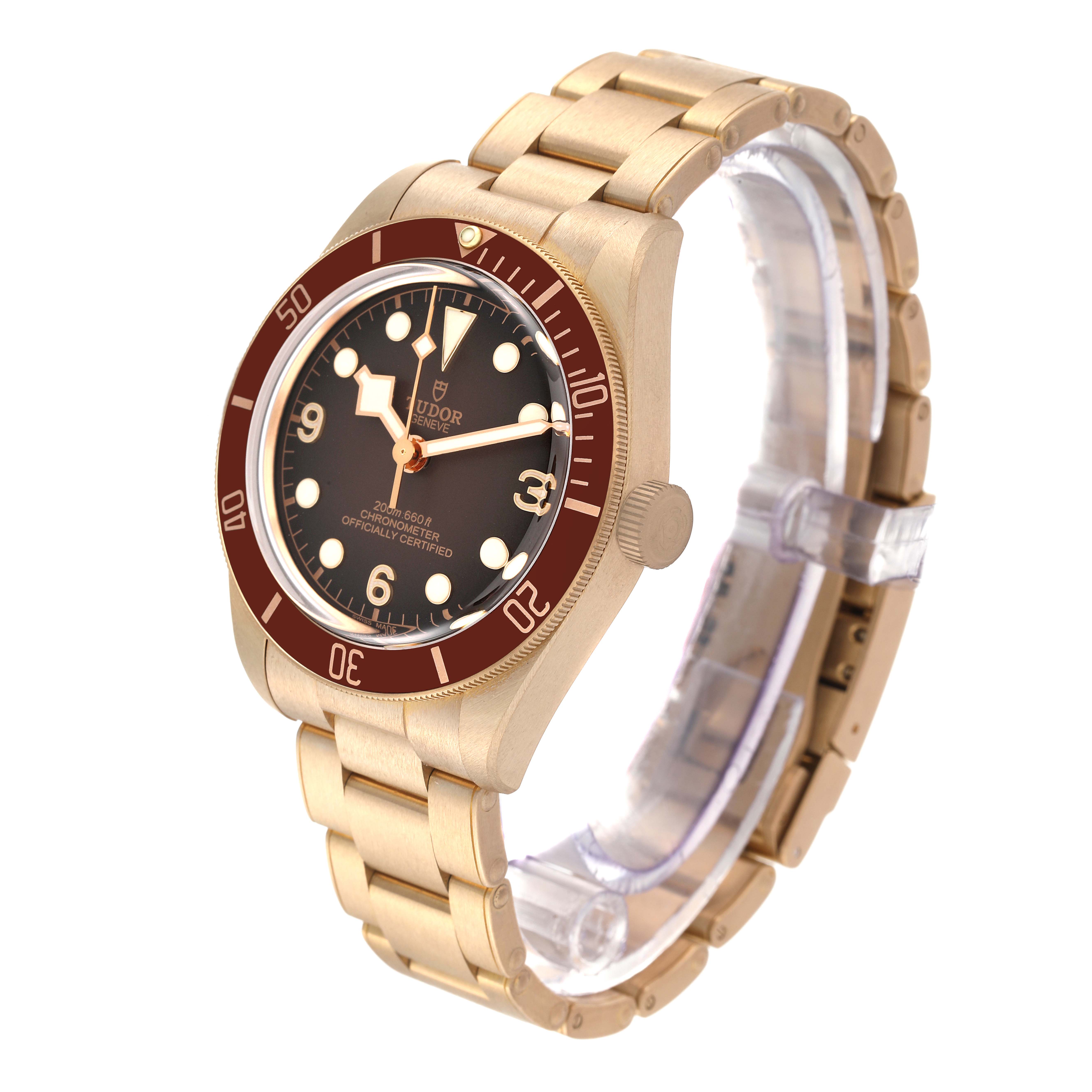 The image shows a side angle of the Tudor Heritage Black Bay M79012M-0001 Men's Bronze Brown Dial M79012M-0001 Men's Bronze Brown Dial watch, highlighting its bezel, dial, and bracelet.