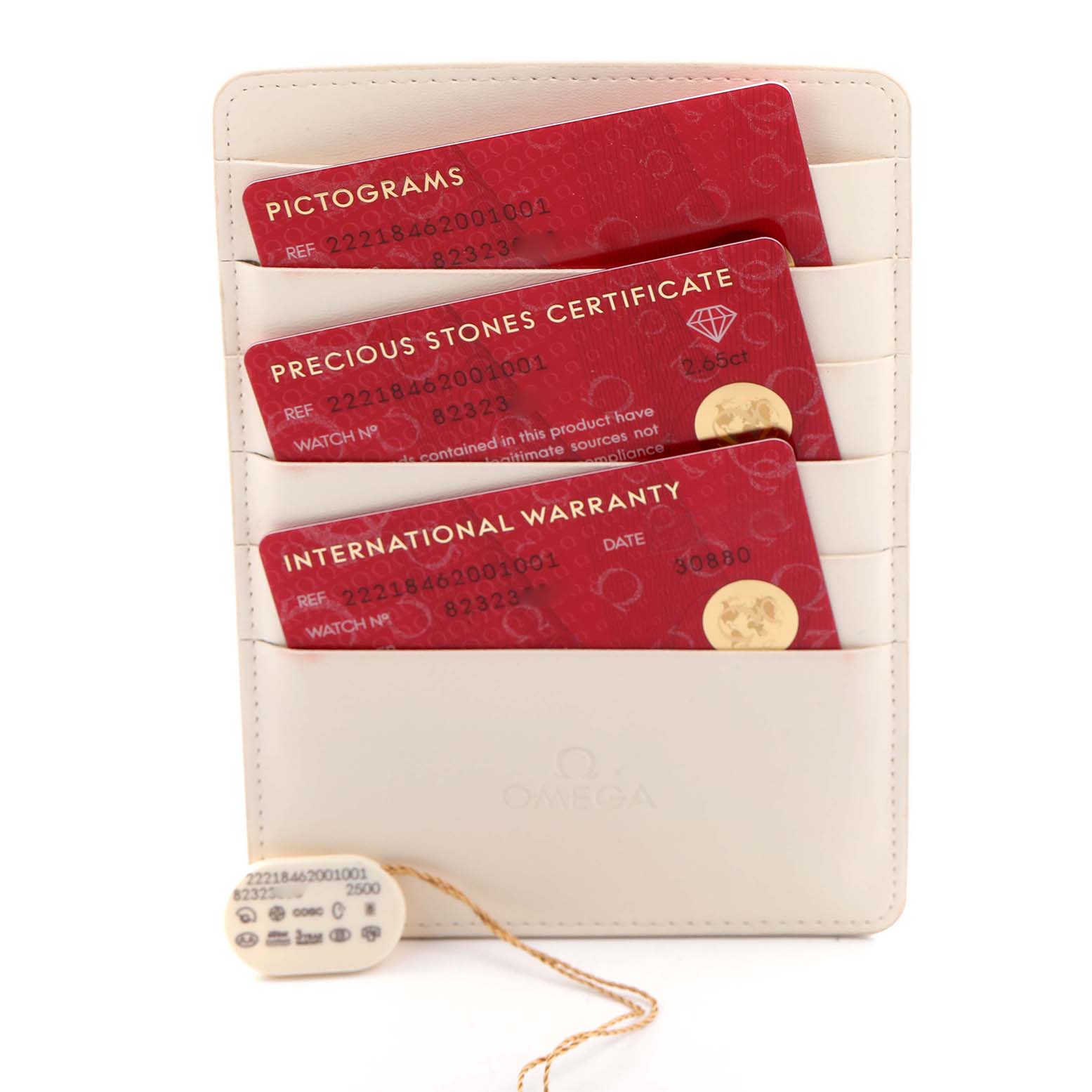 The image shows the Omega Planet Ocean 222.18.46.20.01.001 Men's Stainless Steel Black Dial 222.18.46.20.01.001 Men's Stainless Steel Black Dial model's cardholder containing pictograms, certificates, and a tag, all at a straight angle.